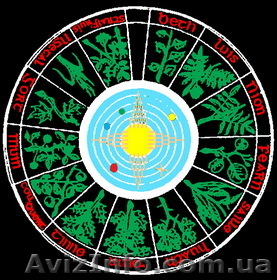 Требуются доноры Био-поля - <ro>Изображение</ro><ru>Изображение</ru> #1, <ru>Объявление</ru> #5009