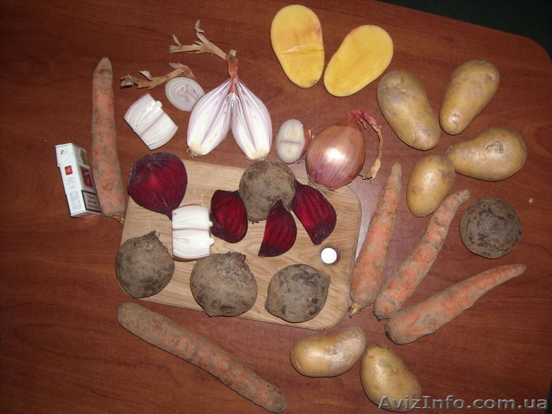 Лук  Картошка Капуста пекинская Морковка Буряк  - <ro>Изображение</ro><ru>Изображение</ru> #1, <ru>Объявление</ru> #18484