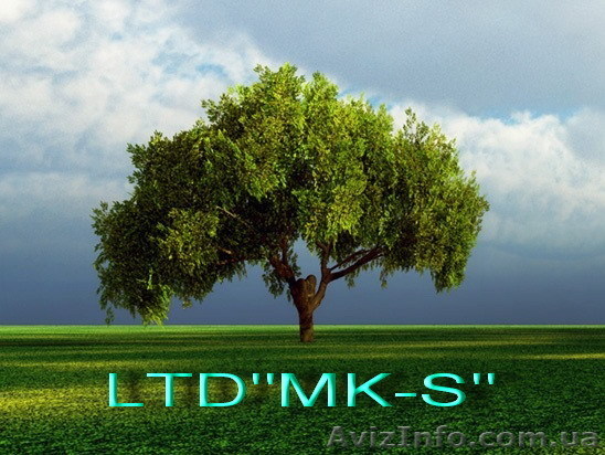 продам пиломатериалы - <ro>Изображение</ro><ru>Изображение</ru> #1, <ru>Объявление</ru> #34022