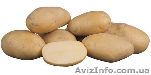 Продам картофель,морковь... - <ro>Изображение</ro><ru>Изображение</ru> #1, <ru>Объявление</ru> #52123