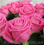 Косметика "Фаберлик" - <ro>Изображение</ro><ru>Изображение</ru> #1, <ru>Объявление</ru> #53357