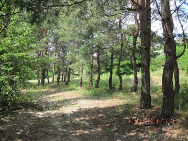 Участок в Обуховке (Кировское) - <ro>Изображение</ro><ru>Изображение</ru> #1, <ru>Объявление</ru> #57381