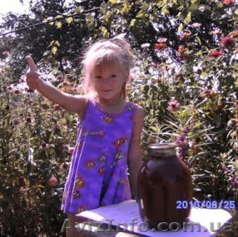 Продам томатный сок домашнего приготовления  - <ro>Изображение</ro><ru>Изображение</ru> #1, <ru>Объявление</ru> #70931