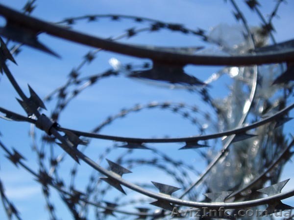 Сетка строительная от производителя - <ro>Изображение</ro><ru>Изображение</ru> #1, <ru>Объявление</ru> #87467