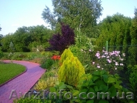 Ландшафтное бюро "RainGarden" - <ro>Изображение</ro><ru>Изображение</ru> #1, <ru>Объявление</ru> #85721