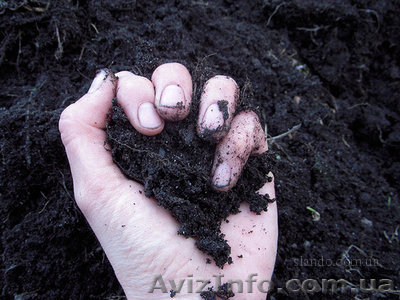 Песок, щебень, отсев, цемент Днепропетровск  - <ro>Изображение</ro><ru>Изображение</ru> #1, <ru>Объявление</ru> #80539