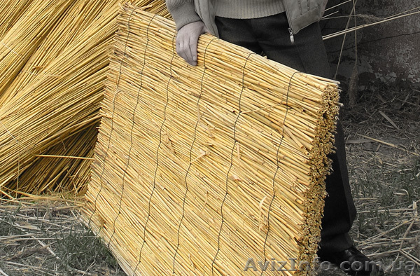 Предлагаем камышовые утеплительные и декоративные маты - <ro>Изображение</ro><ru>Изображение</ru> #1, <ru>Объявление</ru> #129873