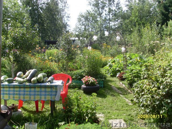 Продам дачу в Днепропетровске. Сухачевка. - <ro>Изображение</ro><ru>Изображение</ru> #1, <ru>Объявление</ru> #146035