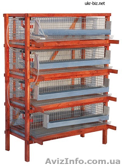 Клетка для перепелов - <ro>Изображение</ro><ru>Изображение</ru> #1, <ru>Объявление</ru> #176234