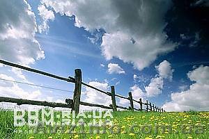 Дачный участок 19 км от Днепропетровска - <ro>Изображение</ro><ru>Изображение</ru> #1, <ru>Объявление</ru> #189047