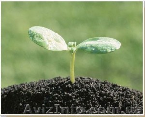 СТРОИТЕЛЬНЫЕ МАТЕРИАЛЫ! БЕСПЛАТНАЯ ДОСТАВКА! - <ro>Изображение</ro><ru>Изображение</ru> #1, <ru>Объявление</ru> #246854