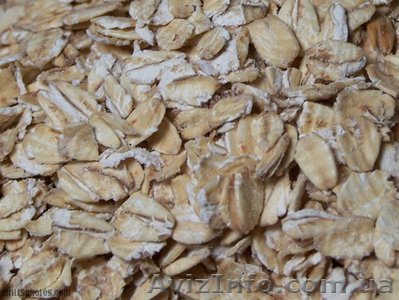 хлопья овсяные, ГОСТ - <ro>Изображение</ro><ru>Изображение</ru> #1, <ru>Объявление</ru> #222285