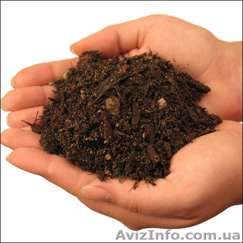 Перегной, Доставка бесплатно! Днепропетровск - <ro>Изображение</ro><ru>Изображение</ru> #1, <ru>Объявление</ru> #293945