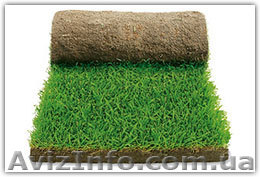 Укладка рулонных газонов - <ro>Изображение</ro><ru>Изображение</ru> #1, <ru>Объявление</ru> #374231