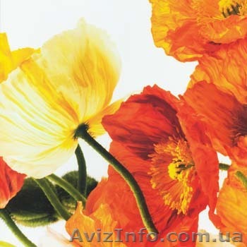  багетная мастерская - <ro>Изображение</ro><ru>Изображение</ru> #1, <ru>Объявление</ru> #418063