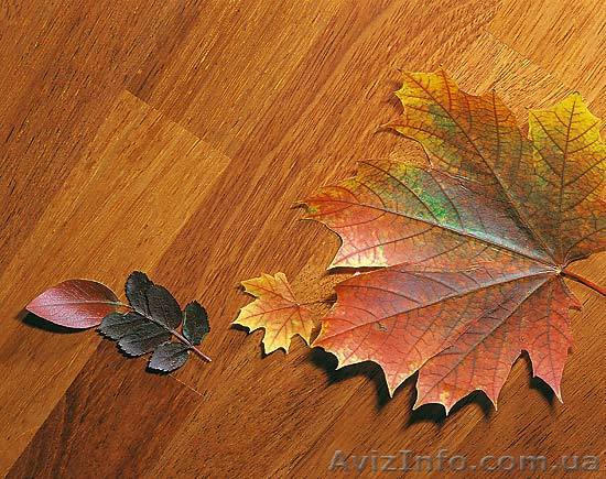 Напольные работы: паркет, ламинат и т.д. - <ro>Изображение</ro><ru>Изображение</ru> #1, <ru>Объявление</ru> #410253