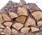 Дрова акация с доставкой 6 м3. - <ro>Изображение</ro><ru>Изображение</ru> #1, <ru>Объявление</ru> #38379
