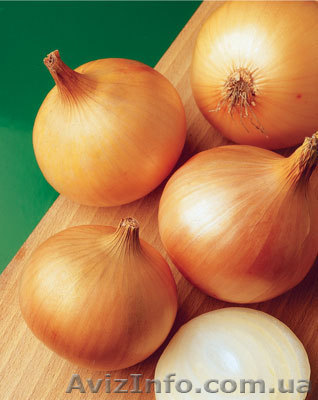 ЛУК продам оптом  - <ro>Изображение</ro><ru>Изображение</ru> #1, <ru>Объявление</ru> #435434