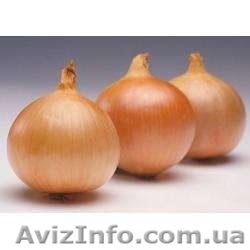 ЛУК оптом продам - <ro>Изображение</ro><ru>Изображение</ru> #1, <ru>Объявление</ru> #435191