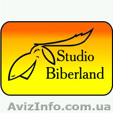 Свадебная видеосъемка, фотосъемка. Услуги оператора, фотографа - <ro>Изображение</ro><ru>Изображение</ru> #1, <ru>Объявление</ru> #469202