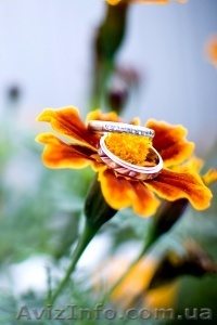 Творческий фотограф - <ro>Изображение</ro><ru>Изображение</ru> #1, <ru>Объявление</ru> #468162