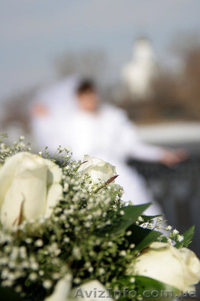 Производим Видео и фотосъемку недорого  - <ro>Изображение</ro><ru>Изображение</ru> #1, <ru>Объявление</ru> #469138