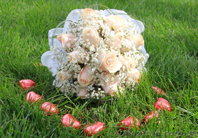 Профессиональные фото-видео услуги, дизайн, монтаж DVD - <ro>Изображение</ro><ru>Изображение</ru> #1, <ru>Объявление</ru> #376542