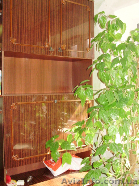 Секритер-стенка - <ro>Изображение</ro><ru>Изображение</ru> #1, <ru>Объявление</ru> #483958