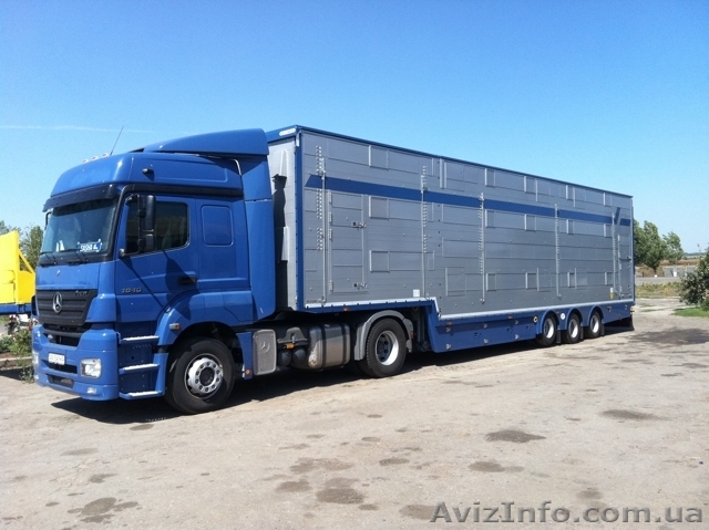 ООО «Обрий-V» осуществляет перевозки животных  - <ro>Изображение</ro><ru>Изображение</ru> #1, <ru>Объявление</ru> #555490