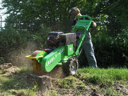 Измельчитель пней, дробилку, пнедробилку, Laski F-450 - <ro>Изображение</ro><ru>Изображение</ru> #1, <ru>Объявление</ru> #539318