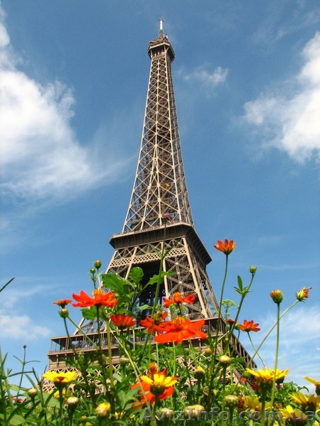 **ФРАНЦУЗСКИЙ ЯЗЫК ДЛЯ ВЗРОСЛЫХ И ДЕТЕЙ ** - <ro>Изображение</ro><ru>Изображение</ru> #1, <ru>Объявление</ru> #600575