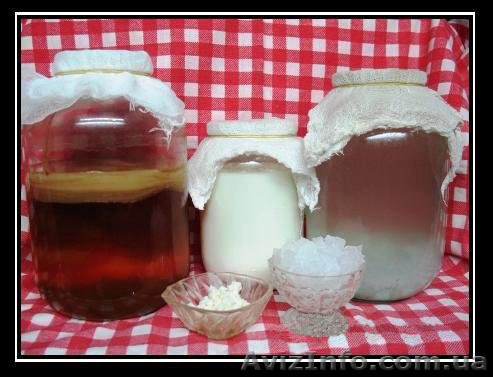 Морской индийский рис - <ro>Изображение</ro><ru>Изображение</ru> #1, <ru>Объявление</ru> #573476