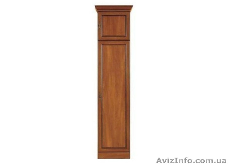 Продам шкаф-пенал - <ro>Изображение</ro><ru>Изображение</ru> #1, <ru>Объявление</ru> #592640