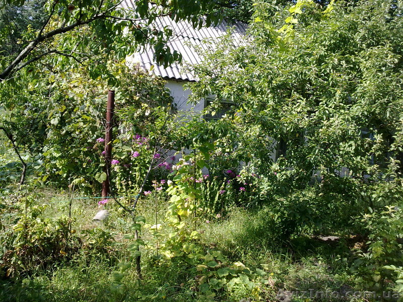 продам дачу. Срочно. - <ro>Изображение</ro><ru>Изображение</ru> #1, <ru>Объявление</ru> #654241