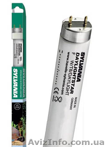 Продам лампу для замедления роста водорослей Sylvania Daylightstar - <ro>Изображение</ro><ru>Изображение</ru> #1, <ru>Объявление</ru> #701170