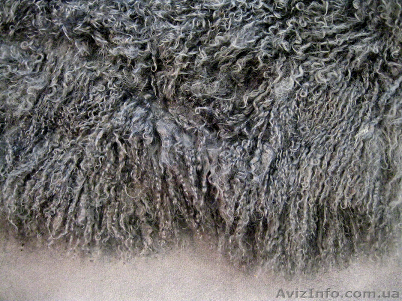 ковер Angelo 100% шерсть ламы - <ro>Изображение</ro><ru>Изображение</ru> #1, <ru>Объявление</ru> #679684