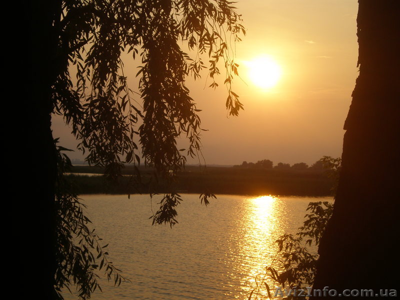 Продам дачу со своим берегом - <ro>Изображение</ro><ru>Изображение</ru> #1, <ru>Объявление</ru> #741904