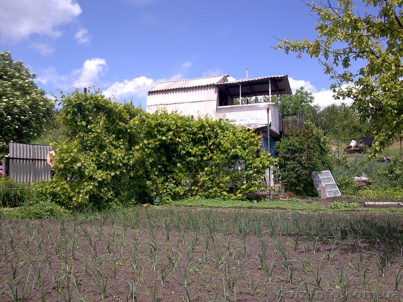 Продам дачу 5000$ - <ro>Изображение</ro><ru>Изображение</ru> #1, <ru>Объявление</ru> #762389