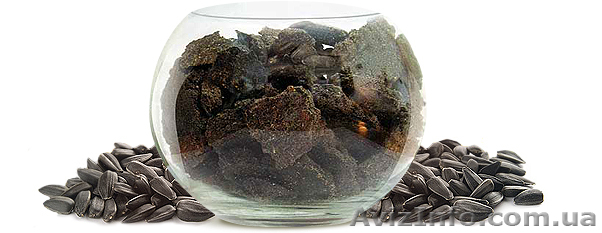 Жмых подсолнечника ( макуха ) - <ro>Изображение</ro><ru>Изображение</ru> #1, <ru>Объявление</ru> #764455