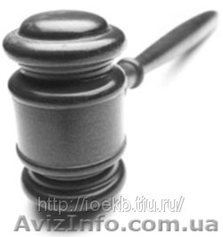 Кредитный должник. Принудительные торги. Судебная защита - <ro>Изображение</ro><ru>Изображение</ru> #1, <ru>Объявление</ru> #774742