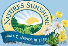 Конcультант косметика,средства гигиены,БАД -NSP - <ro>Изображение</ro><ru>Изображение</ru> #1, <ru>Объявление</ru> #767577