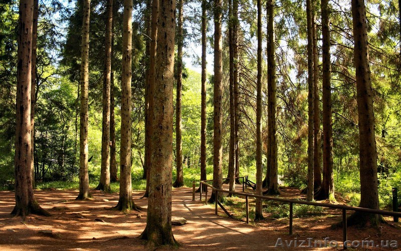 Продам 3-х эт. дачу, АНД, ул. Морса Тореза - <ro>Изображение</ro><ru>Изображение</ru> #1, <ru>Объявление</ru> #768462