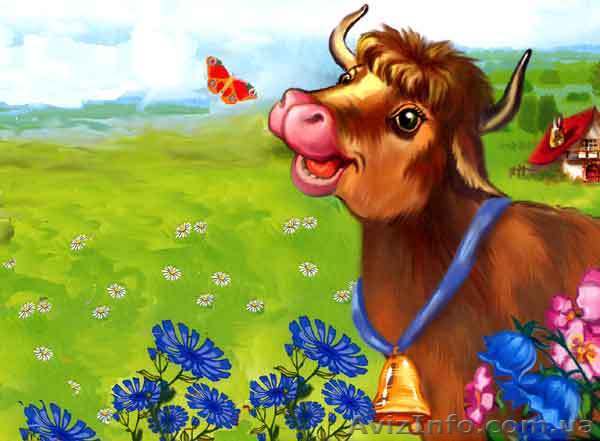 Продам телку!Крупной молочной породы! - <ro>Изображение</ro><ru>Изображение</ru> #1, <ru>Объявление</ru> #800694