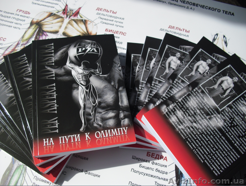 Книга по бодибилдингу - <ro>Изображение</ro><ru>Изображение</ru> #1, <ru>Объявление</ru> #796941