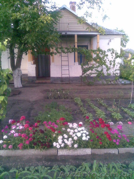 продам частный сектор - <ro>Изображение</ro><ru>Изображение</ru> #1, <ru>Объявление</ru> #818412