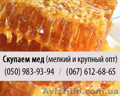 Покупка меда крупным и мелким оптом в Днепропетровске - <ro>Изображение</ro><ru>Изображение</ru> #1, <ru>Объявление</ru> #825379