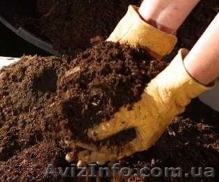 Удобрения(навоз, перегной) - <ro>Изображение</ro><ru>Изображение</ru> #1, <ru>Объявление</ru> #821485