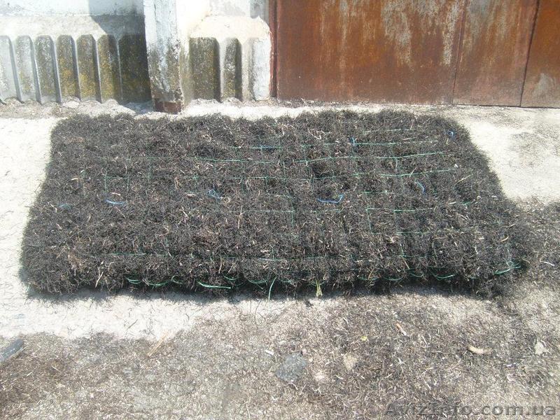 КАмка утеплитель  куплю Днепропетровск ,продажа натурального утеплителя из зосте - <ro>Изображение</ro><ru>Изображение</ru> #1, <ru>Объявление</ru> #838640