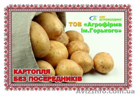 Агрофирма им.Горького - <ro>Изображение</ro><ru>Изображение</ru> #1, <ru>Объявление</ru> #837860