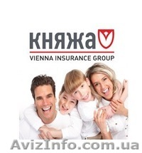 Страховой полис КАСКО и полис ОСАГО со скидкой 40 % от Княжи - <ro>Изображение</ro><ru>Изображение</ru> #1, <ru>Объявление</ru> #851679